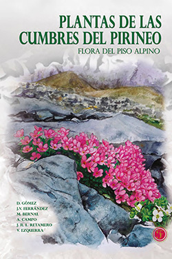 Plantas de las cumbres d elos Pirineos