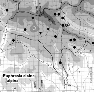 Euphrasia_alpina_alpina