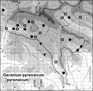 Geranium_pyrenaicum_pyrenaicum