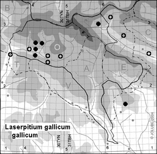 Laserpitium_gallicum_gallicum