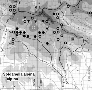 Soldanella_alpina_alpina