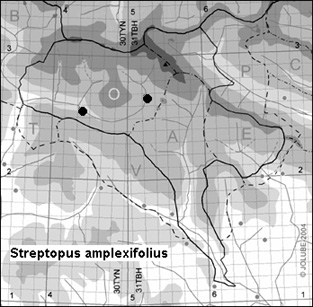 Streptopus_amplexifolius_