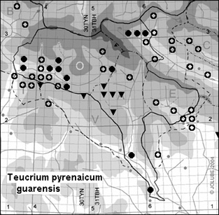 Teucrium_pyrenaicum_guarensis